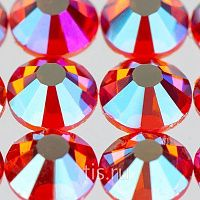 C28 ss16 Hyacinth AB K9 F