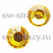 2058 ss 7 Sunflower F